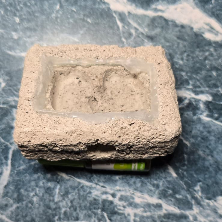 🥚 Founding Nest - (2.4in x 3in)
