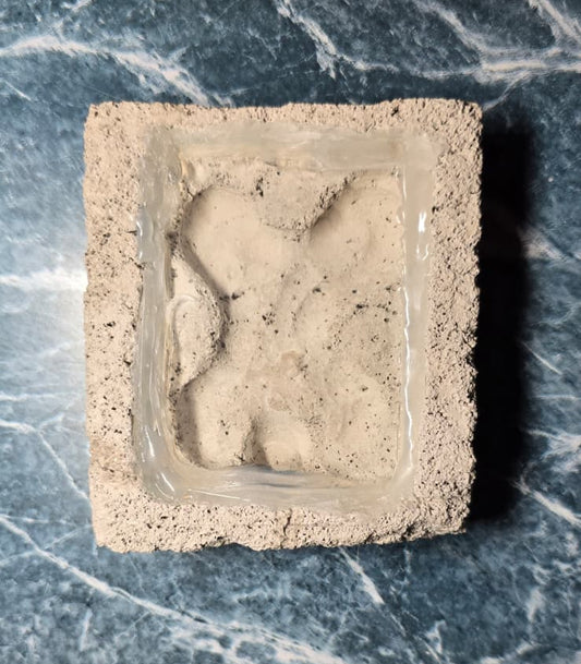 🐜 Small Nest - (3.2in x 3.5in)